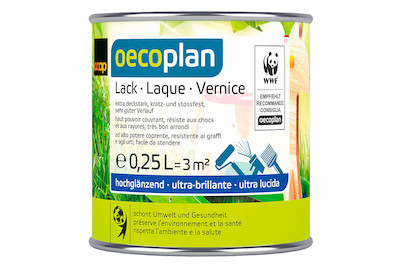 Image of Oecoplan Lack glänzend silbergrau 0.25L bei JUMBO