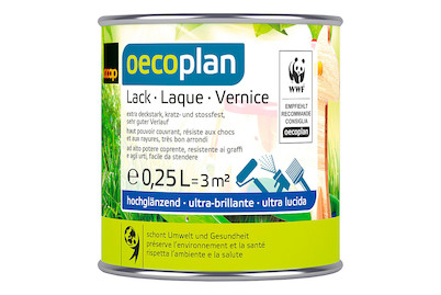 Image of Oecoplan Lack glänzend reinweiss 0.25L bei JUMBO