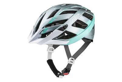 Image of Velohelm Alpina Panoma 2.0, stahlgrau-smaragd, Grösse 52-57 cm bei JUMBO