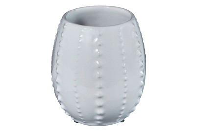 Image of Home & More Zahnbecher weiss bei JUMBO