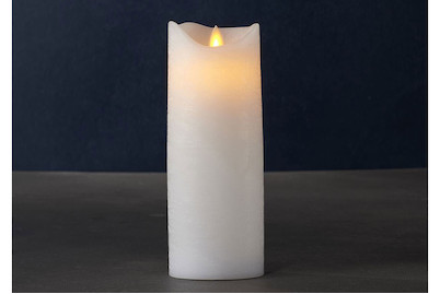 Image of LED-Kerze Sara Exclusive 7.5x20, weiss bei JUMBO