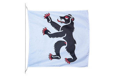 Image of Kantonsfahne Appenzell Innerrhoden 120 x 120 cm bei JUMBO