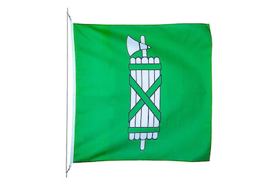 Image of Kantonsfahne St. Gallen 120 x 120 cm bei JUMBO