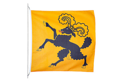 Image of Kantonsfahne Schaffhausen 120 x 120 cm bei JUMBO