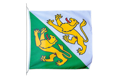 Image of Kantonsfahne Thurgau 120 x 120 cm bei JUMBO