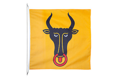 Image of Kantonsfahne Uri 120 x 120 cm bei JUMBO