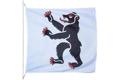 Image of Kantonsfahne Appenzell Innerrhoden 150 x 150 cm bei JUMBO
