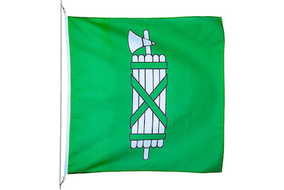 Image of Kantonsfahne St. Gallen 150 x 150 cm bei JUMBO