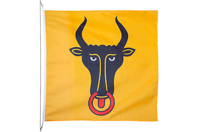 Image of Kantonsfahne Uri 150 x 150 cm bei JUMBO