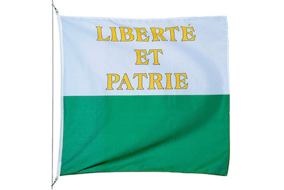 Image of Kantonsfahne Waadt 150 x 150 cm bei JUMBO