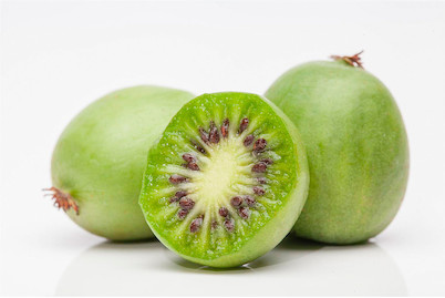 Image of Kiwi 'Vitakiwi'® (Actinidia arguta 'Vitikiwi'®), Topfgrösse Ø20cm bei JUMBO