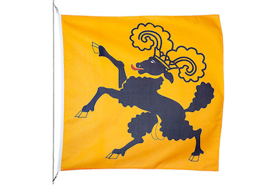 Image of Kantonsfahne Schaffhausen 200 x 200 cm bei JUMBO