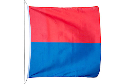 Image of Kantonsfahne Tessin 200 x 200 cm bei JUMBO