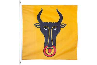 Image of Kantonsfahne Uri 200 x 200 cm bei JUMBO