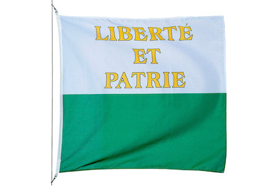 Image of Kantonsfahne Waadt 200 x 200 cm bei JUMBO