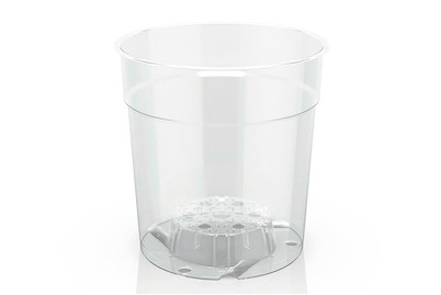 Image of Orchideen Kulturtopf transparent Ø15cm bei JUMBO