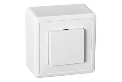 Image of AP Schalter unbeleuchtet 10A 250V Sch3/1P bei JUMBO