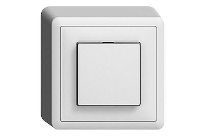 Image of AP Taster unbel. 10A 250V 1P Sk/Ök bei JUMBO