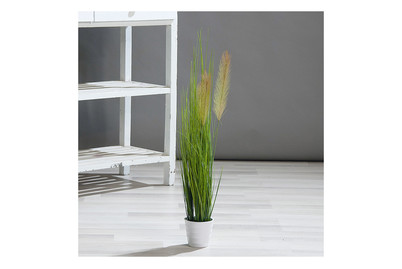 Image of Grasarrangement mit Topf weiss bei JUMBO