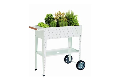 Image of Home and More Hochbeet California (77x35x82cm), Metall Weiss bei JUMBO