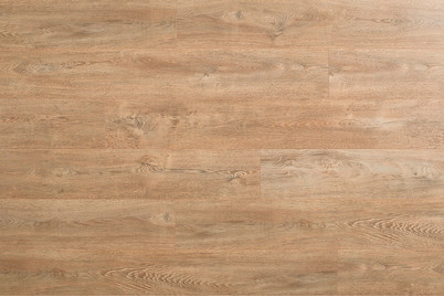 Image of Home & More LaminatEiche multicolor 8MM 2.131 m2 bei JUMBO