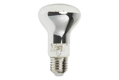 Image of Paulmann LED Pflanzenleuchte R63 6.5 W bei JUMBO