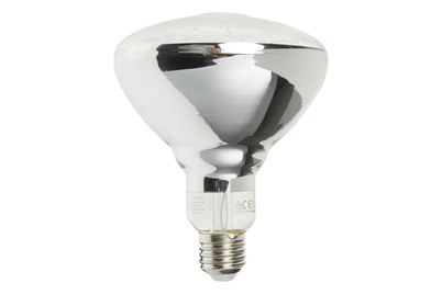 Image of Paulmann LED Pflanzenleuchte Par38 6.5 W bei JUMBO
