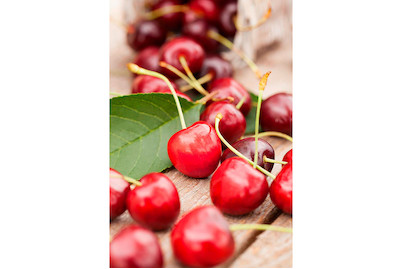 Image of Kirsche 'Sweetheart'® (Prunus avium 'Sweetheart'®), Topfgrösse Ø31cm bei JUMBO