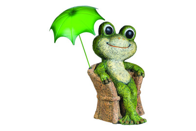 Image of Frosch auf Stuhl 28x25x43 cm bei JUMBO