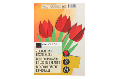 Image of Qualité&Prix Zeichenblock A4 farbig 120 g/m2 bei JUMBO