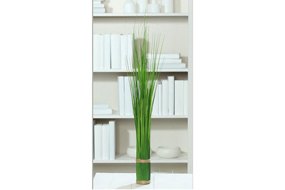 Image of Stehgras-Bündel bei JUMBO