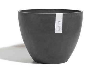 Image of Ecopot Gefäss Antwerp Ø30Cm dunkelgrau bei JUMBO