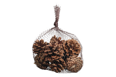 Image of Kiefernzapfen, ca. 5x5cm, Set 12Stück bei JUMBO