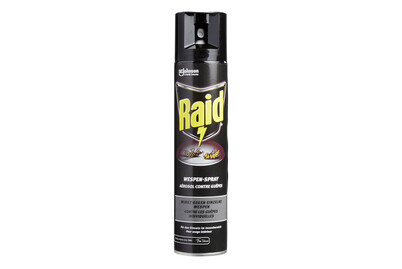 Image of Raid® Wespen-Spray bei JUMBO