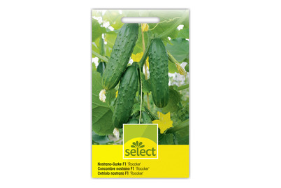 Image of Select Nostrano-Gurke Roccker bei JUMBO