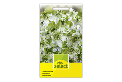 Image of Select Schwarzkümmel bei JUMBO