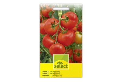 Image of Select Tomaten OH Happy DAY bei JUMBO
