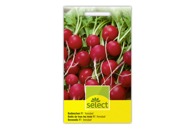 Image of Select Radieschen Annabel bei JUMBO