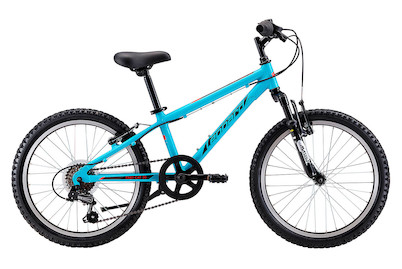 Image of Leopard Jugend-Mountainbike Fast Cat 20 bei JUMBO