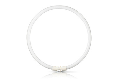 Image of Philips TL5 Circular 40W/830 bei JUMBO