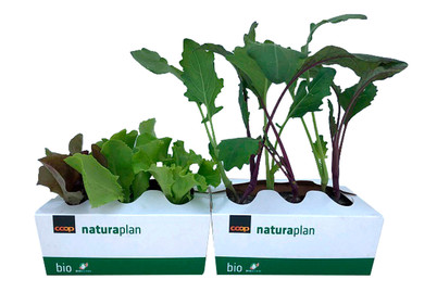 Image of Naturaplan Salat und Kohlrabi Mix