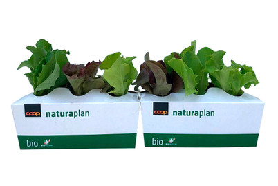 Image of Naturaplan Salat Mix bei JUMBO