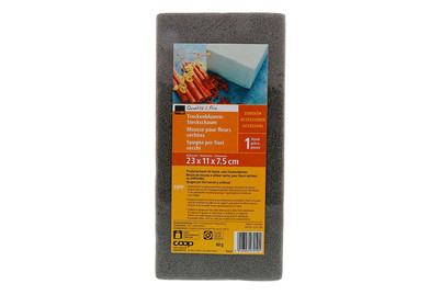 Image of Trockenblumen-Steckschaum 23x11x7.5cm bei JUMBO