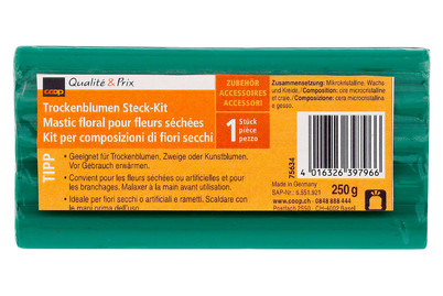 Image of Trockenblumen Steck-Kit bei JUMBO