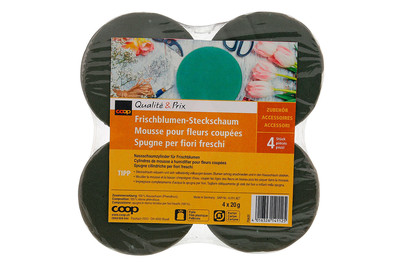 Image of Frischblumen-Steckschaum bei JUMBO