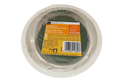 Image of Frischblumen-Steckschaum mit Schale 8x5cm bei JUMBO