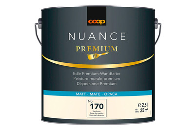 Image of Premium Bunt Nuance matt sandrose 2.5L bei JUMBO