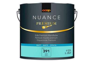 Image of Premium Bunt Nuance matt lagune 2.5L bei JUMBO