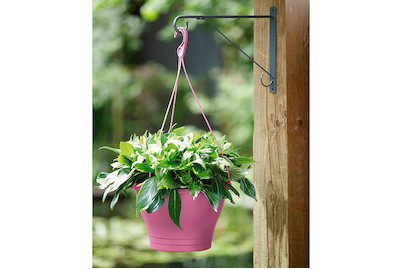 Image of Elho Corsica Hängeampel violett bei JUMBO