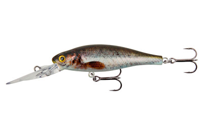 Image of Stucki Fanatics Freaky 6CM Minnow bei JUMBO
